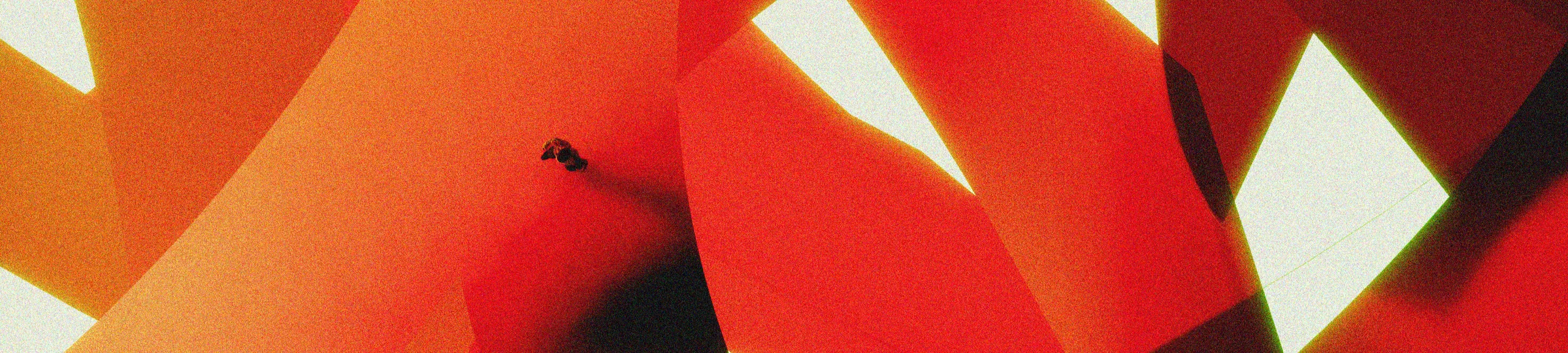 Pathway close-up renders